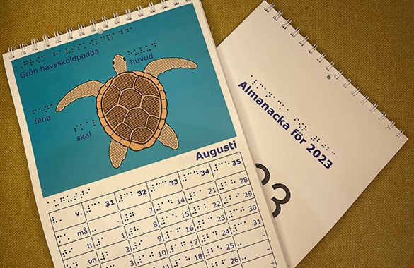 Almanacka för 2023. För augusti månad visas en grön havssköldpadda mot en blå bakgrund.