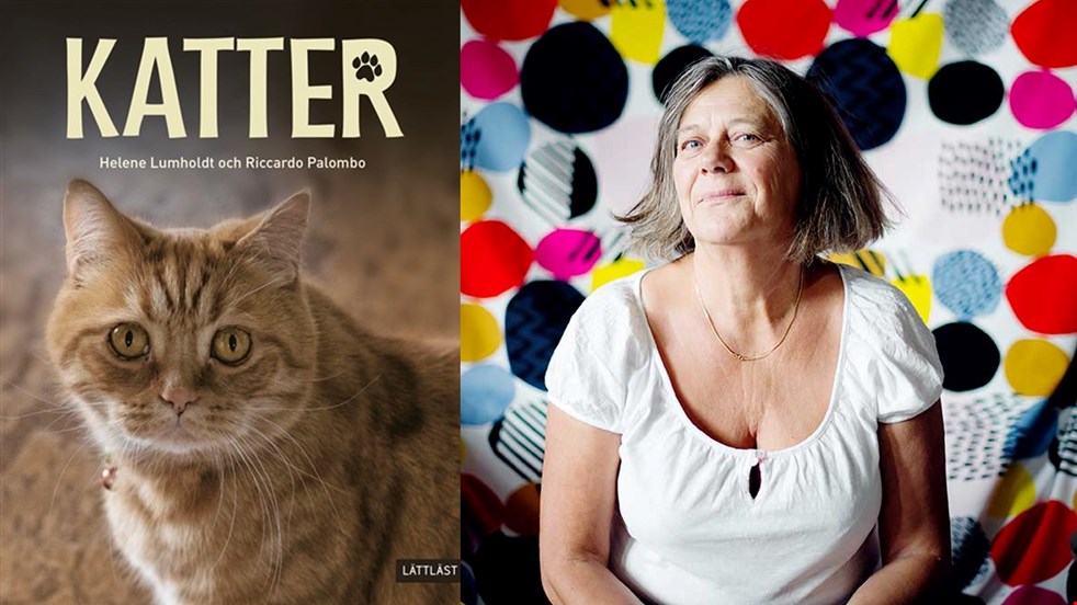 Kollage av bokomslaget Katter, ett foto på en beigerandig katt som tittar rakt in i kameran, och en porträttbild av Helene Lumholdt.